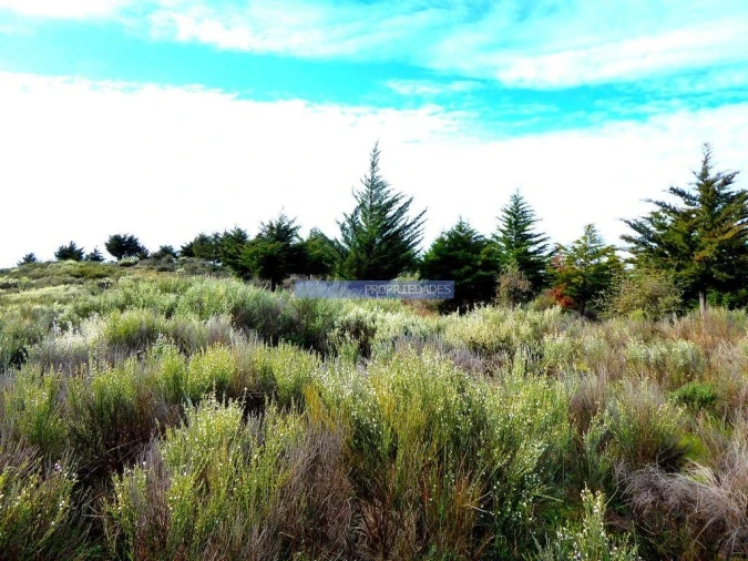 Terreno Agricola ou Rústico para Venda em Alfandega da Fe Foto 5