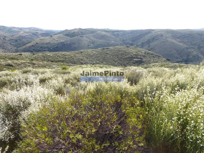 Terreno Agricola ou Rústico para Venda em Alfandega da Fe Foto 6