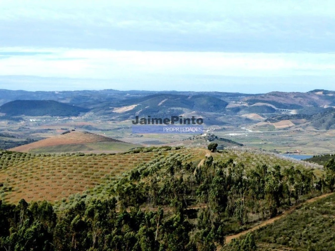 Terreno Agricola ou Rústico para Venda em Alfandega da Fe Foto 8