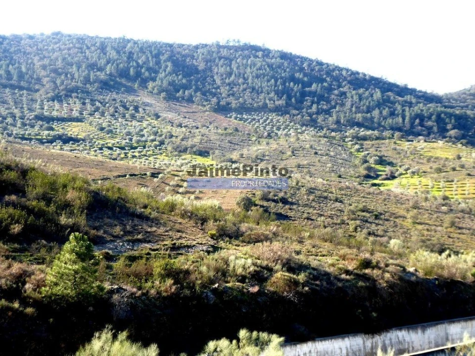 Terreno Agricola ou Rústico para Venda em Alfandega da Fe Foto 2