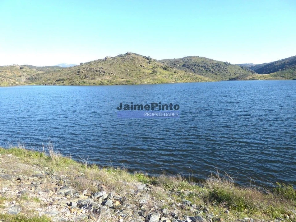Terreno Agricola ou Rústico para Venda em Alfandega da Fe Foto 3