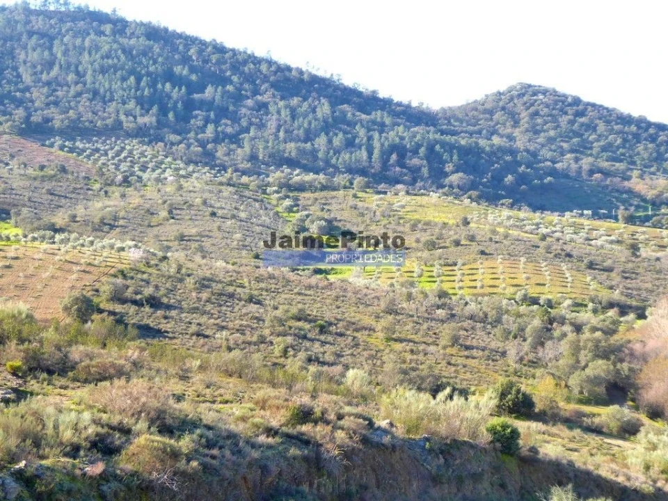 Terreno Agricola ou Rústico para Venda em Alfandega da Fe Foto 7