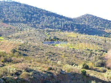 Terreno Agricola ou Rústico para Venda em Alfandega da Fe