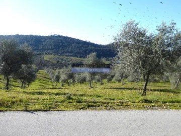 Terreno Agricola ou Rústico para Venda em Alfandega da Fe