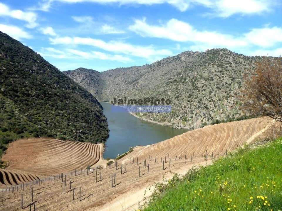 Terreno para Venda em São João da Pesqueira e Várzea de Trevões Foto 8