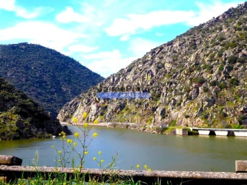 Terreno para Venda em São João da Pesqueira e Várzea de Trevões