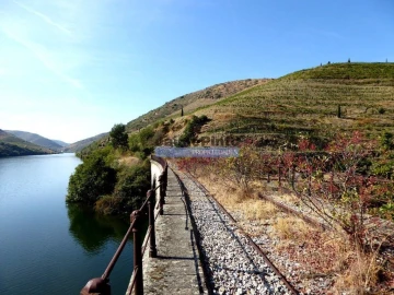 Terreno para Venda em São João da Pesqueira e Várzea de Trevões
