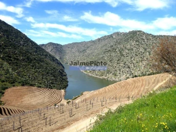 Terreno para Venda em São João da Pesqueira e Várzea de Trevões