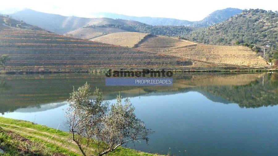 Terreno para Venda em São João da Pesqueira e Várzea de Trevões