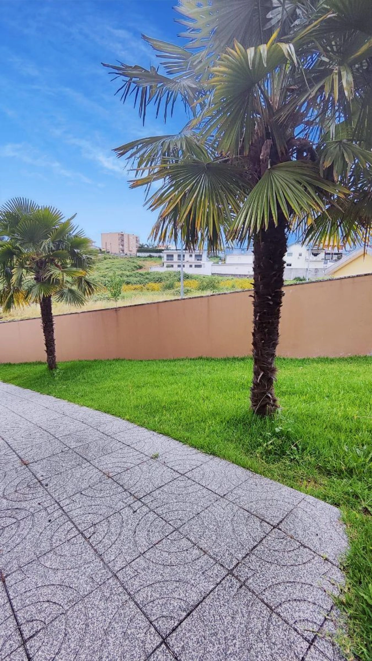 Moradia T4 para Venda em Cristelos, Boim e Ordem Foto 5