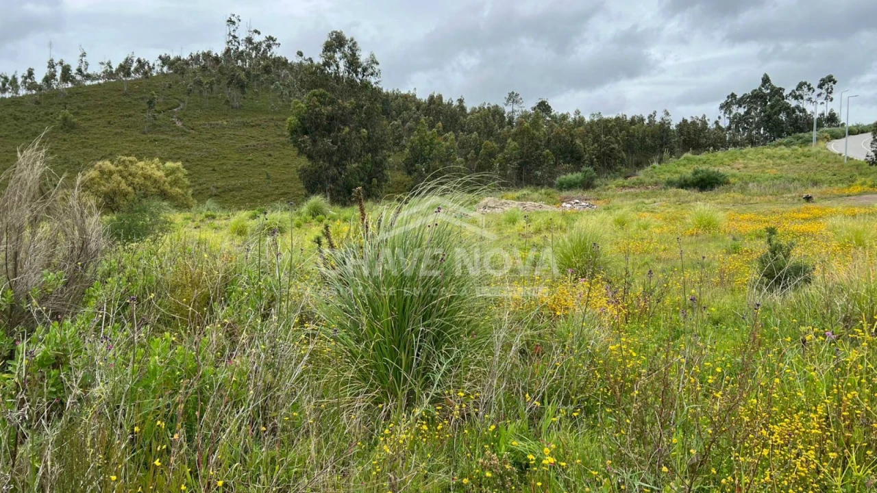 Terreno Misto para Venda em Gandra Foto 6
