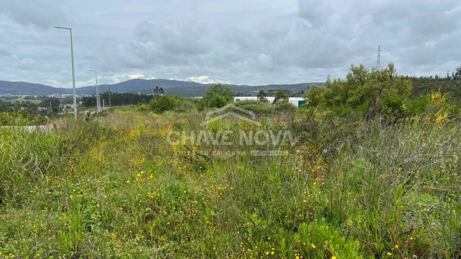 Terreno Misto para Venda em Gandra Foto 8
