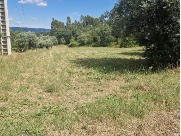 Terreno Comércio / Armazém para Venda em Casal Comba