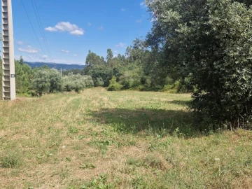 Terreno Comércio / Armazém para Venda em Casal Comba