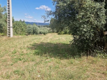 Terreno Comércio / Armazém para Venda em Casal Comba