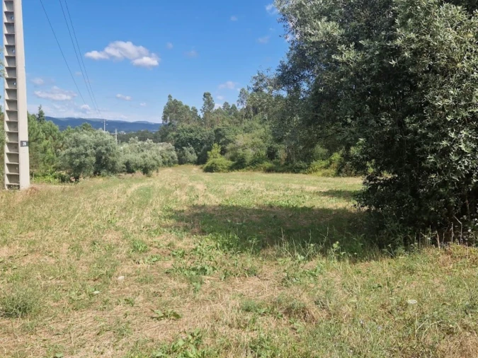 Terreno Comércio / Armazém para Venda em Casal Comba Foto 2