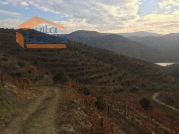 Quinta T4 para Venda em Torre de Moncorvo