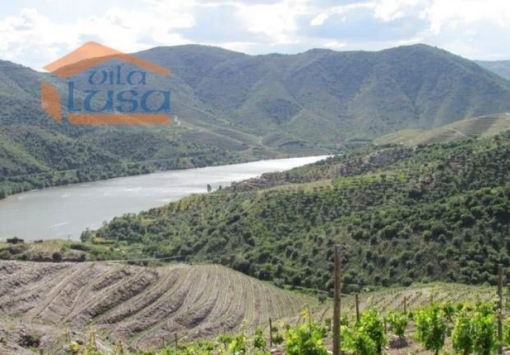 Quinta T4 para Venda em Torre de Moncorvo Foto 9