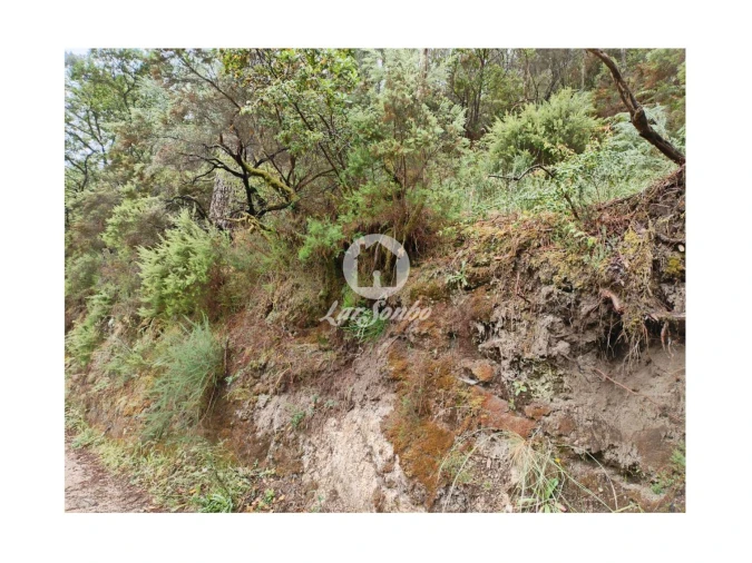 Terreno Agricola ou Rústico para Venda em Vilar da Veiga Foto 5