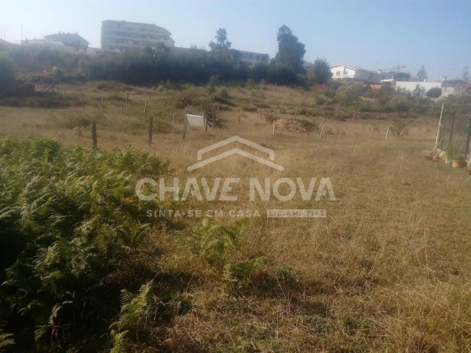 Terreno para Venda em Madalena Foto 6