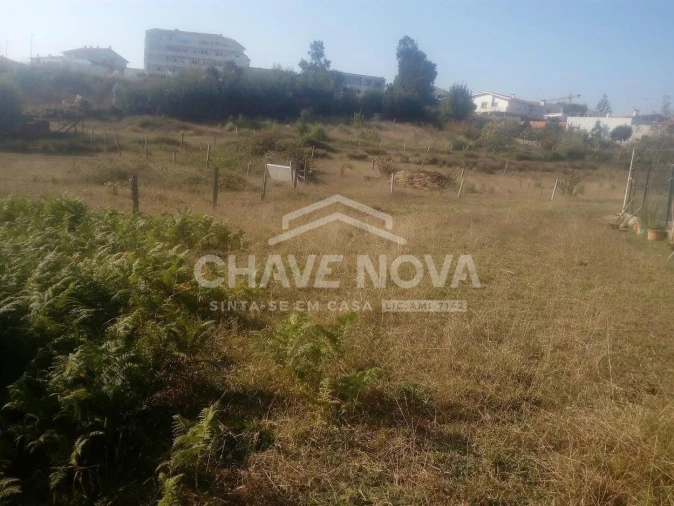 Terreno para Venda em Madalena Foto 2