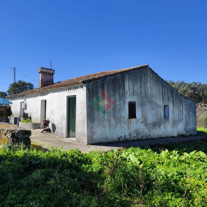 Quinta T3 para Venda em São Salvador da Aramenha Foto 1