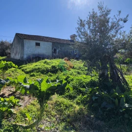 Quinta T3 para Venda em São Salvador da Aramenha