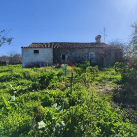 Quinta T3 para Venda em São Salvador da Aramenha