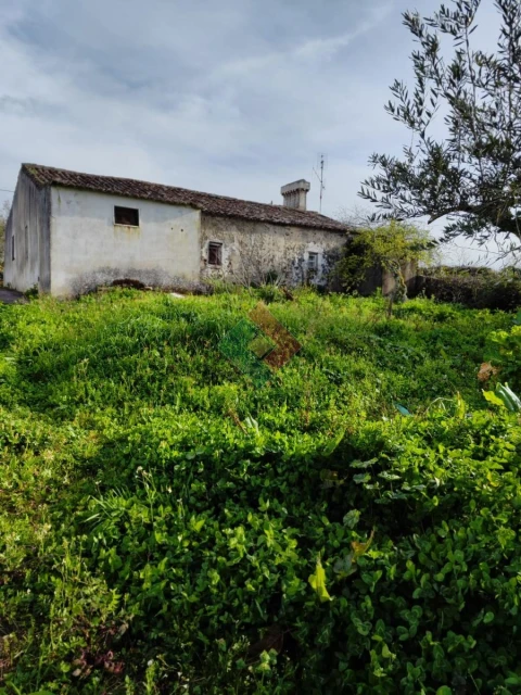 Quinta T3 para Venda em São Salvador da Aramenha
