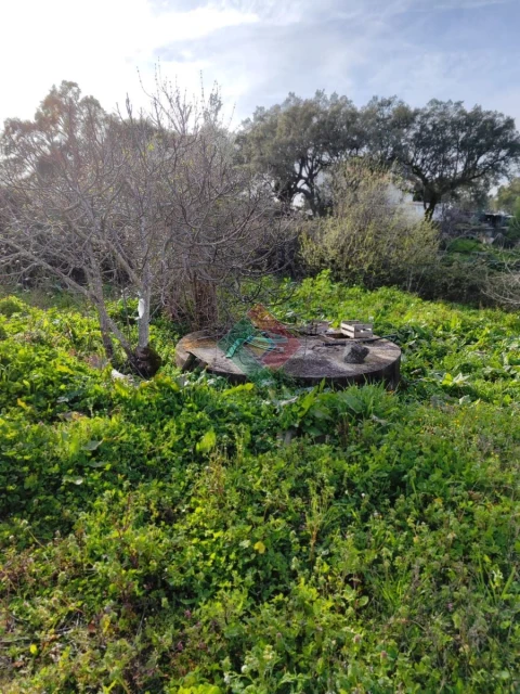 Quinta T3 para Venda em São Salvador da Aramenha