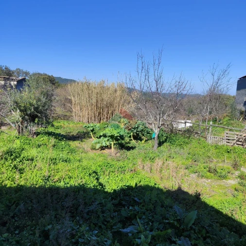 Quinta T3 para Venda em São Salvador da Aramenha Foto 11