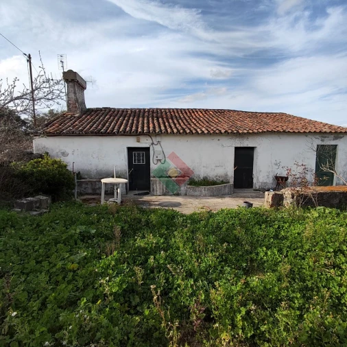 Quinta T3 para Venda em São Salvador da Aramenha Foto 3