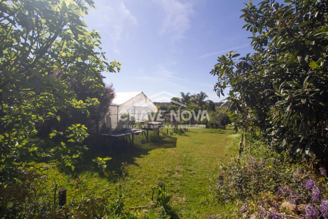 Quinta T3 para Venda em Argoncilhe Foto 17