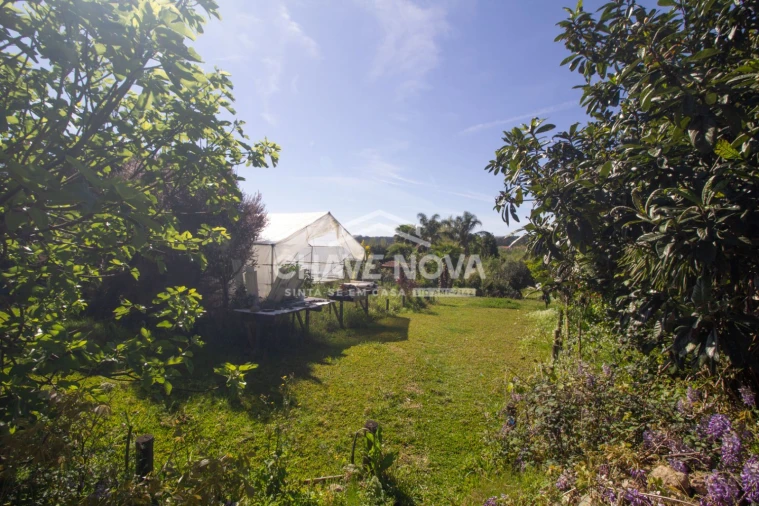 Quinta T3 para Venda em Argoncilhe Foto 17