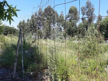 Terreno para Venda em Baguim do Monte (Rio Tinto)