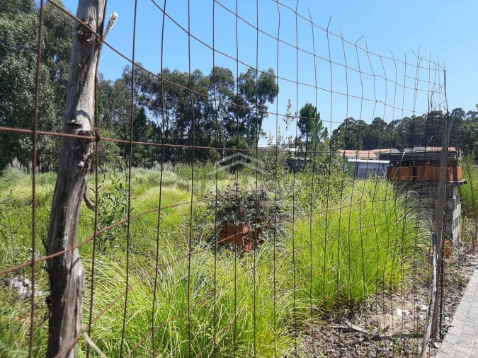 Terreno para Venda em Baguim do Monte (Rio Tinto) Foto 5