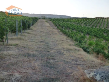 Quinta T6 para Venda em Tabuaço