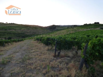 Quinta T6 para Venda em Tabuaço