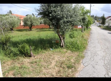 Terreno Misto para Venda em Nossa Senhora da Piedade