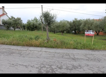 Terreno Misto para Venda em Nossa Senhora da Piedade