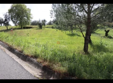 Terreno Misto para Venda em Nossa Senhora da Piedade