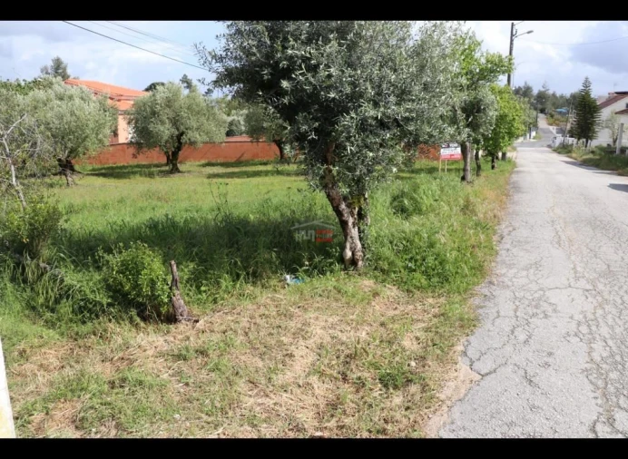 Terreno Misto para Venda em Nossa Senhora da Piedade Foto 3