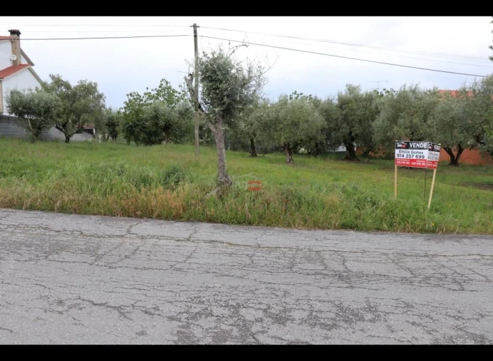Terreno Misto para Venda em Nossa Senhora da Piedade Foto 6