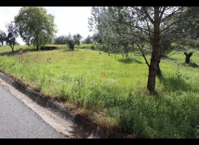 Terreno Misto para Venda em Nossa Senhora da Piedade Foto 7