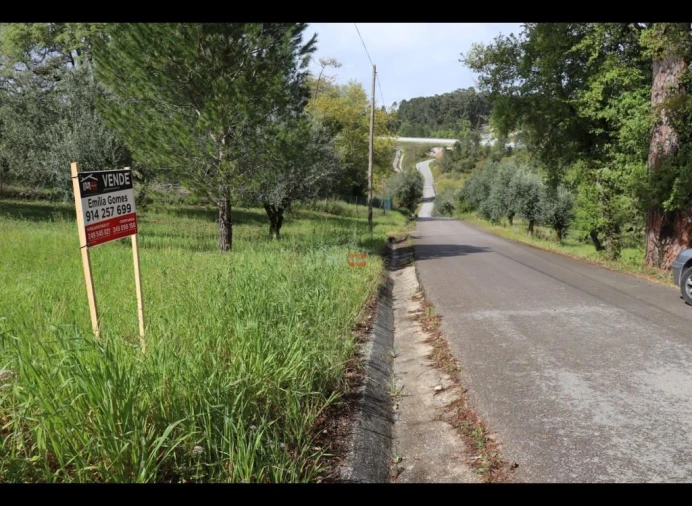 Terreno Misto para Venda em Nossa Senhora da Piedade Foto 9