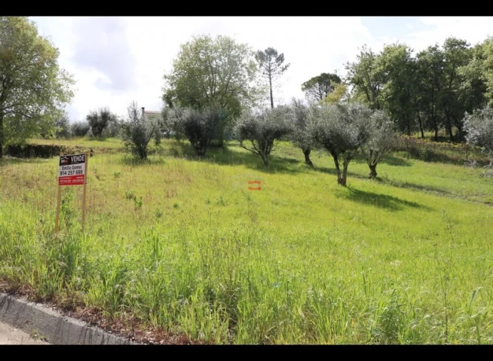 Terreno Misto para Venda em Nossa Senhora da Piedade Foto 10