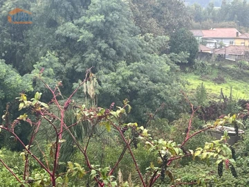 Terreno para Venda em Gondomar (São Cosme), Valbom e Jovim
