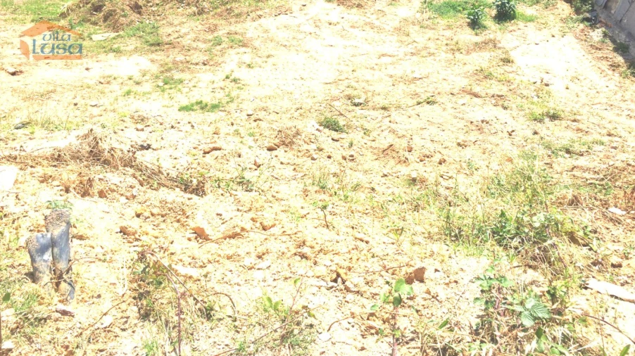 Terreno Misto para Venda em Baguim do Monte (Rio Tinto) Foto 16