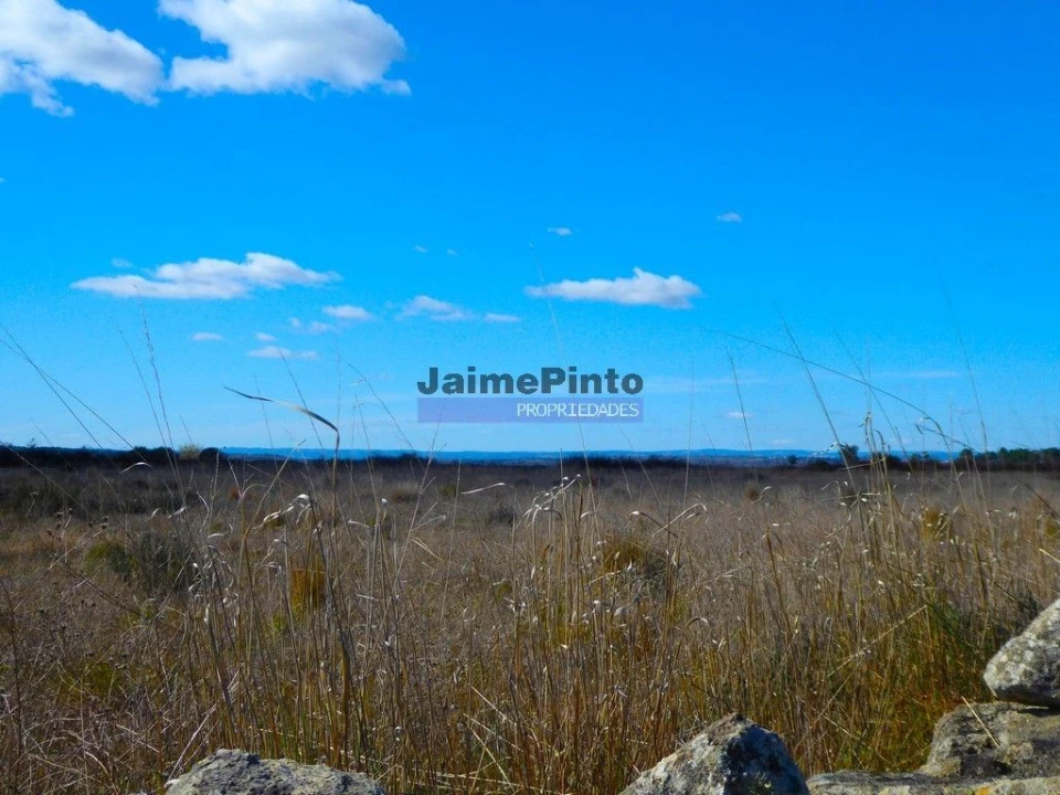 Terreno Agricola ou Rústico para Venda em Figueira de Castelo Rodrigo Foto 2