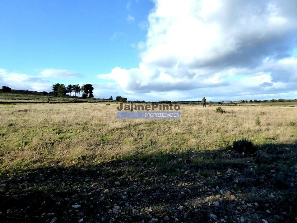 Terreno Agricola ou Rústico para Venda em Figueira de Castelo Rodrigo Foto 1
